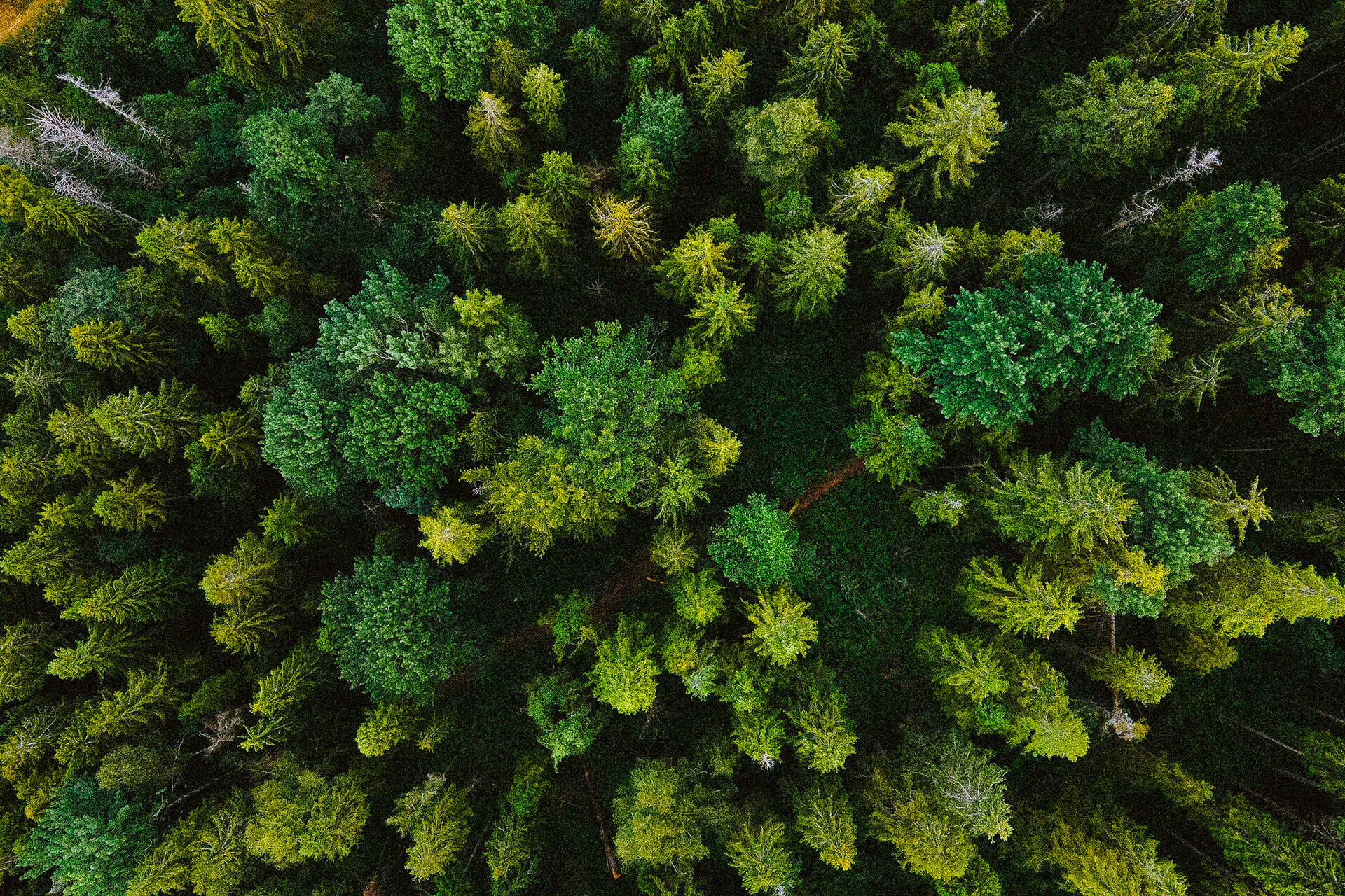 GOVERNANCE FOR NATURE