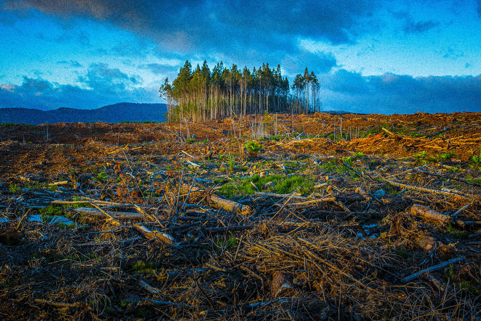 monitoraggio-e-rendicontazione-annuale-per-contrastare-il-cambiamento-climatico-ed-emissioni