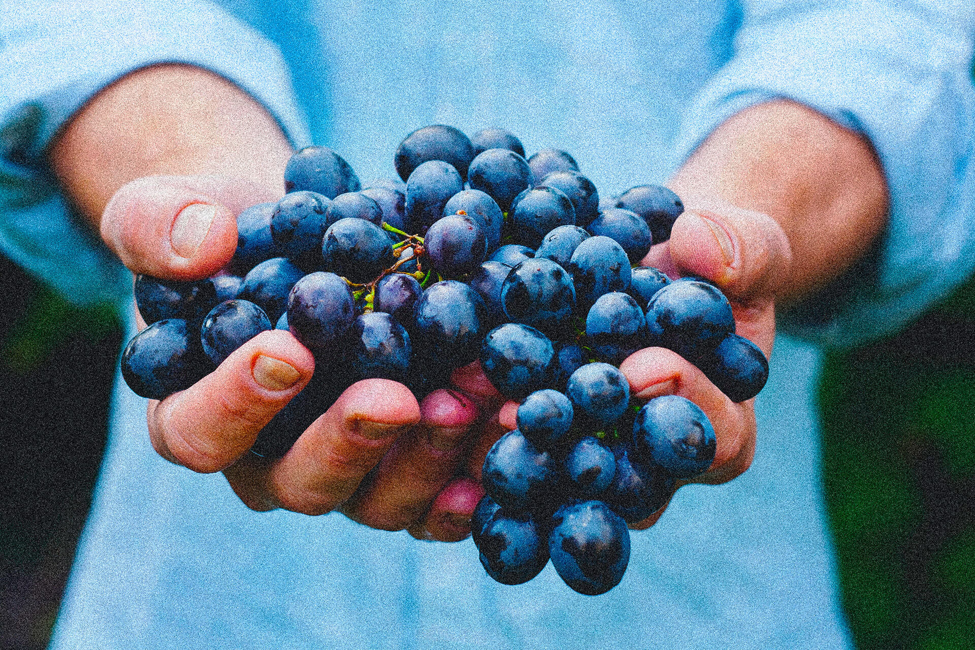 DONATE (BANK OR INSTRUMENTAL) AND HELP REDUCE FOOD WASTE