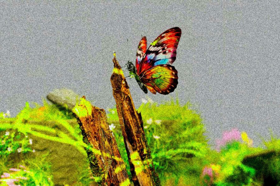 ripristino-della-natura