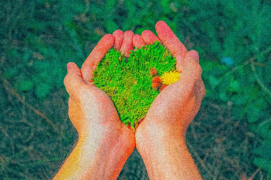 aziende-certificate-b-corp