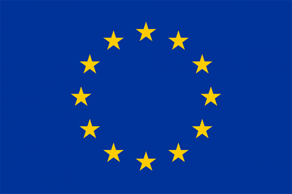 Logo ESRS