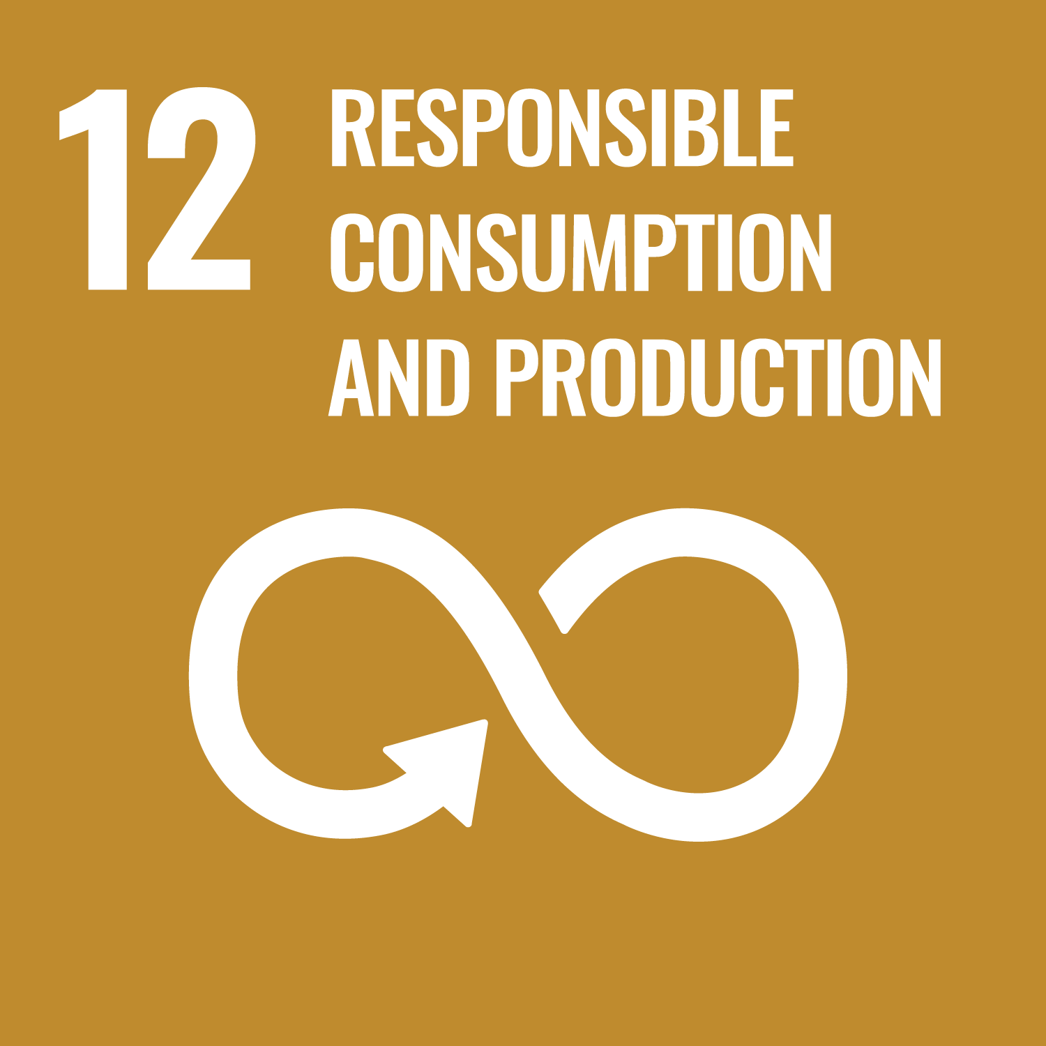 Goal 12 – Consumo e Produzione Responsabili