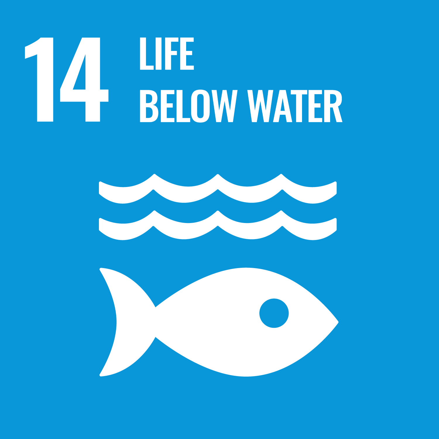 Goal 14 – Vita sott'Acqua