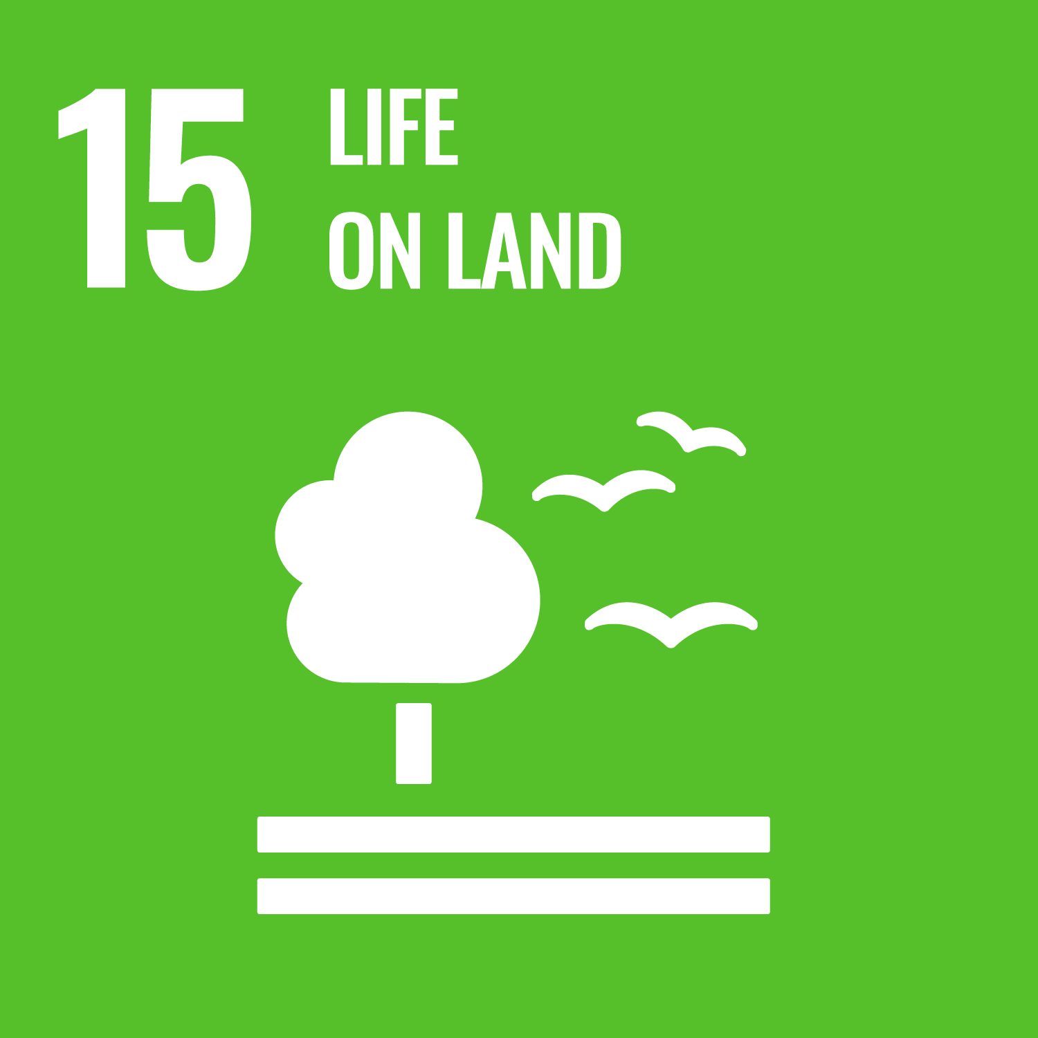 Goal 15 – Vita sulla Terra
