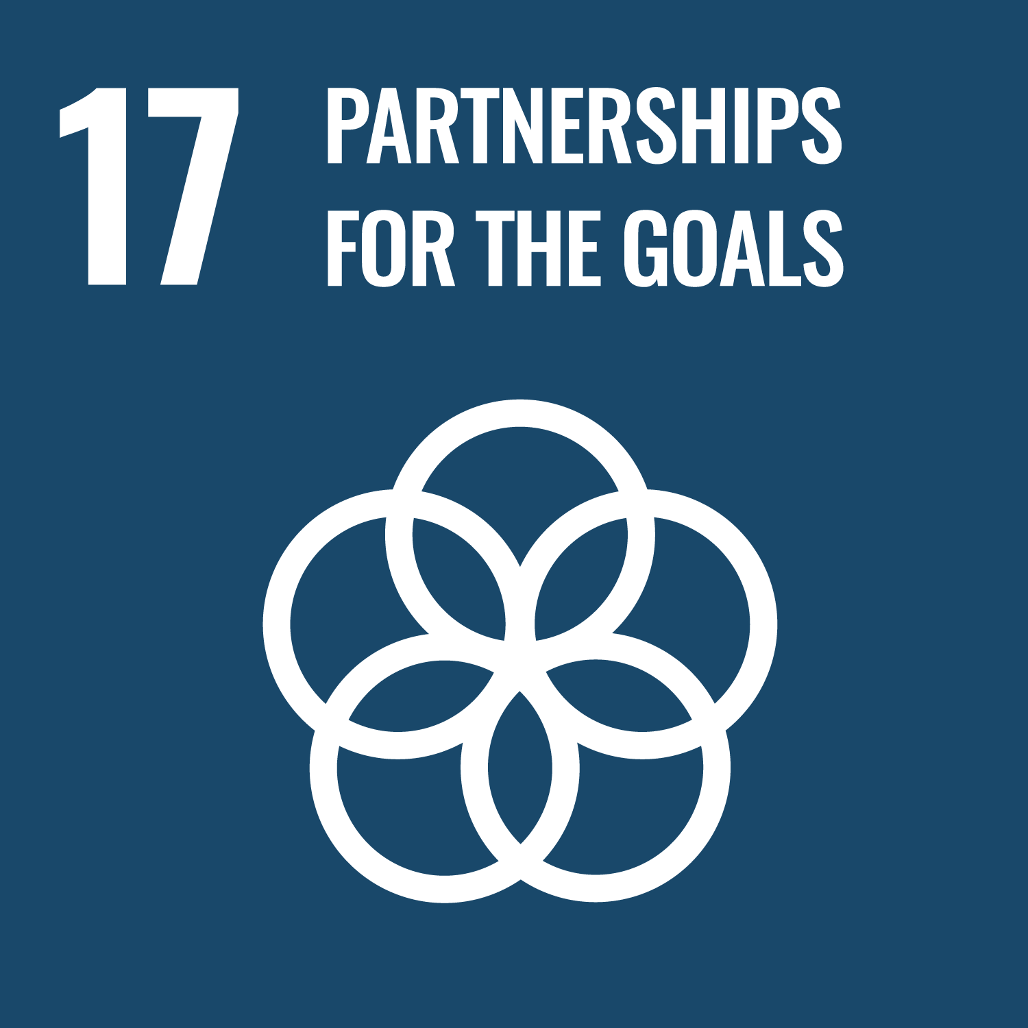Goal 17 – Partnership per gli Obiettivi
